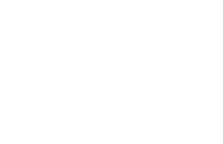 Logo_Transparent_Saint_Laurent_Carrousel_Houses_444x287.png